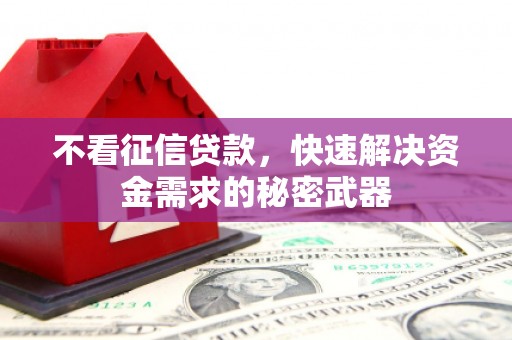 莱城不看征信贷款，快速解决资金需求的秘密武器