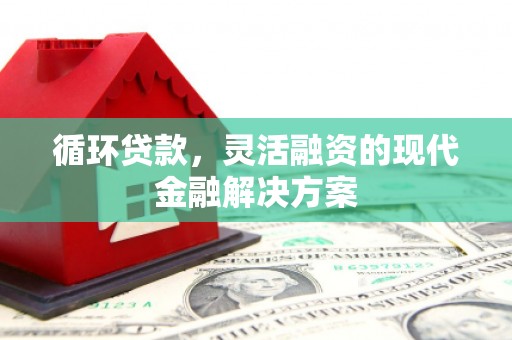莱城循环贷款，灵活融资的现代金融解决方案