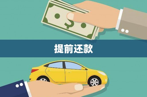 莱城提前还款