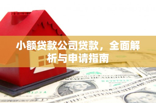莱城小额贷款公司贷款，全面解析与申请指南