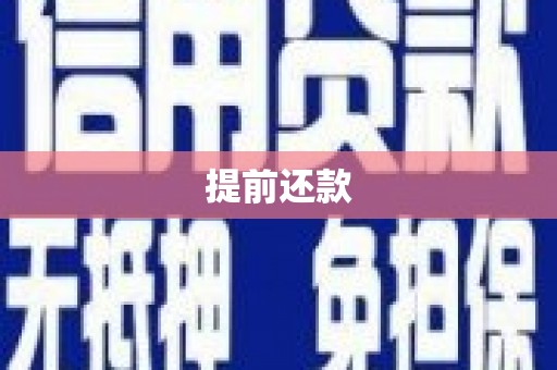莱城提前还款