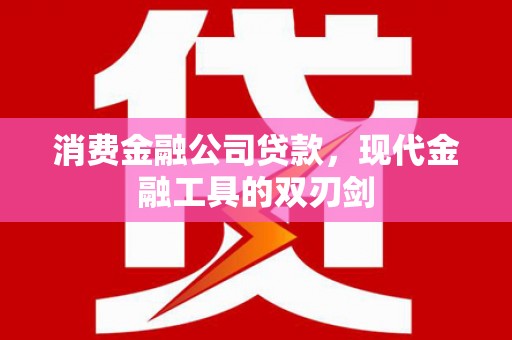 莱城消费金融公司贷款，现代金融工具的双刃剑