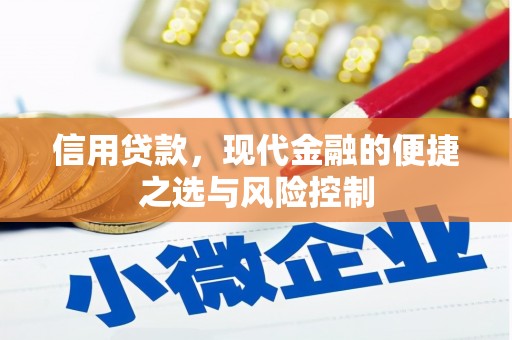 莱城信用贷款，现代金融的便捷之选与风险控制