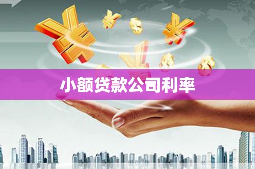 莱城小额贷款公司利率