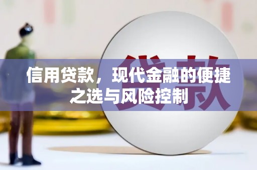 莱城信用贷款，现代金融的便捷之选与风险控制