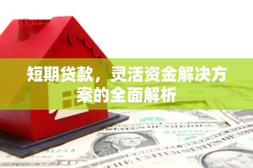 莱城短期贷款，灵活资金解决方案的全面解析