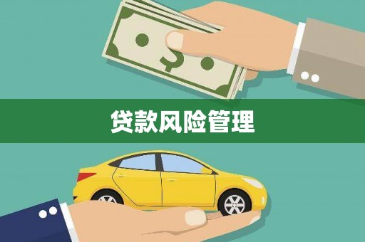 莱城贷款风险管理