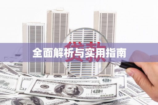 莱城全面解析与实用指南
