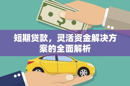 莱城短期贷款，灵活资金解决方案的全面解析
