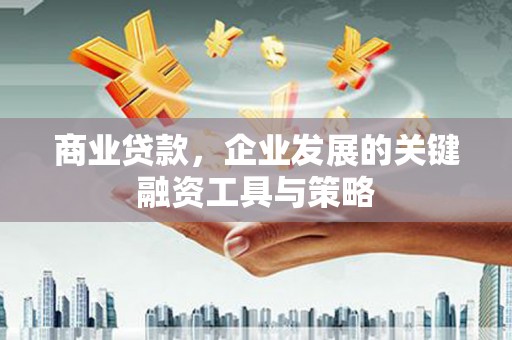 莱城商业贷款，企业发展的关键融资工具与策略