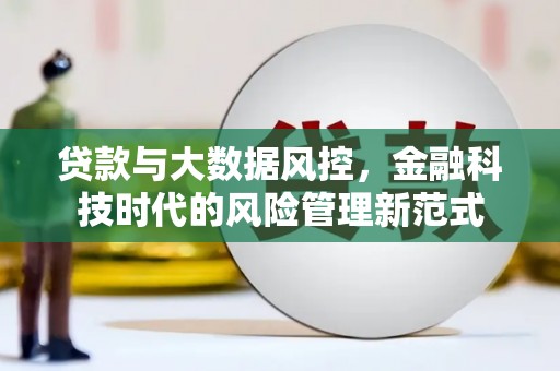 莱城贷款与大数据风控，金融科技时代的风险管理新范式