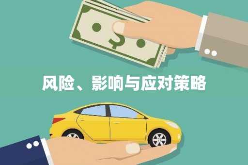 莱城风险、影响与应对策略