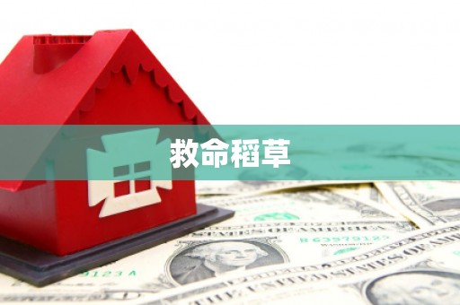 莱城救命稻草