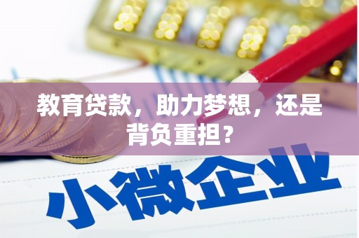莱城教育贷款，助力梦想，还是背负重担？