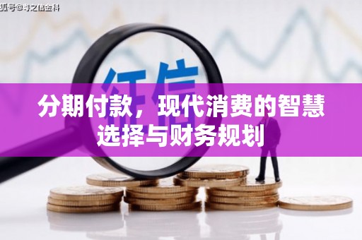 莱城分期付款，现代消费的智慧选择与财务规划