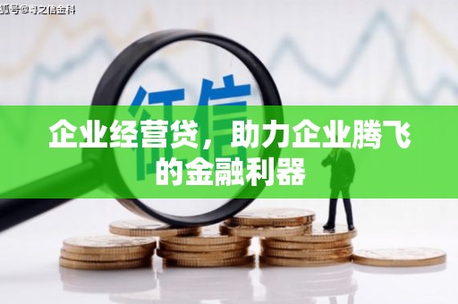 莱城企业经营贷，助力企业腾飞的金融利器