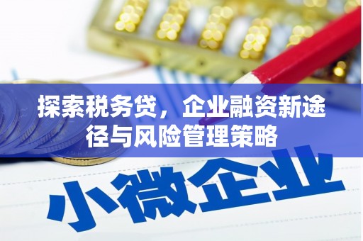 莱城探索税务贷，企业融资新途径与风险管理策略