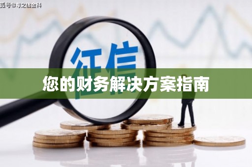 莱城您的财务解决方案指南