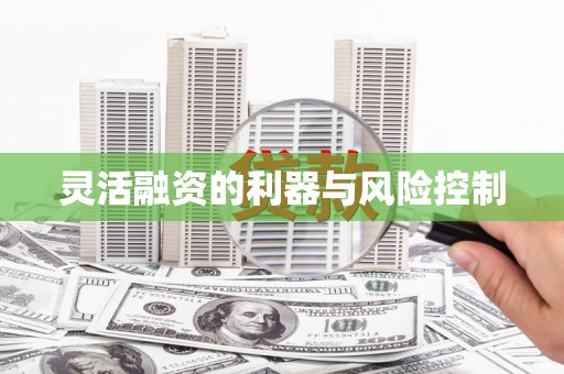 莱城灵活融资的利器与风险控制