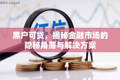 莱城黑户可贷，揭秘金融市场的隐秘角落与解决方案