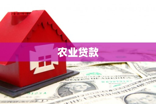 莱城农业贷款