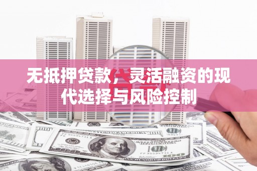 莱城无抵押贷款，灵活融资的现代选择与风险控制