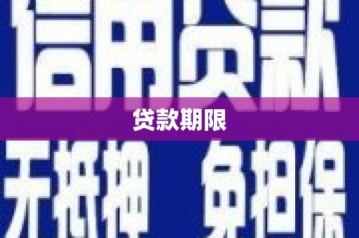 莱城贷款期限