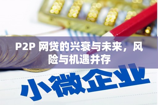 莱城P2P 网贷的兴衰与未来，风险与机遇并存