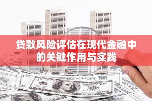 莱城贷款风险评估在现代金融中的关键作用与实践