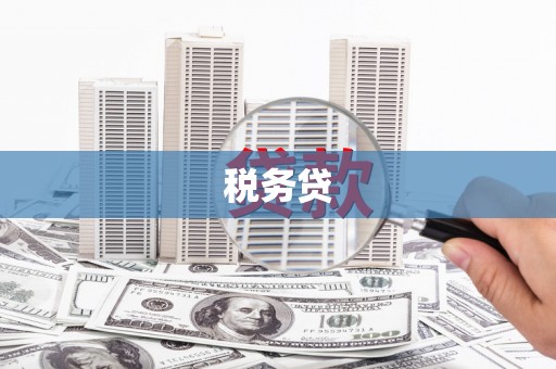 莱城税务贷