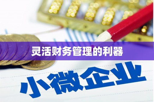 莱城灵活财务管理的利器