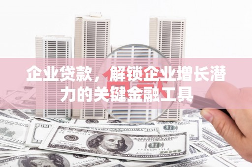 莱城企业贷款，解锁企业增长潜力的关键金融工具