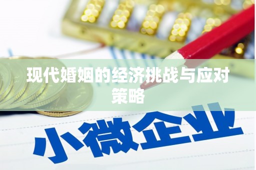 莱城现代婚姻的经济挑战与应对策略