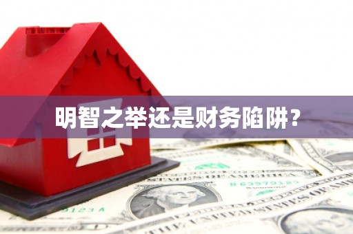 莱城明智之举还是财务陷阱？