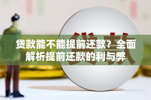 莱城贷款能不能提前还款？全面解析提前还款的利与弊