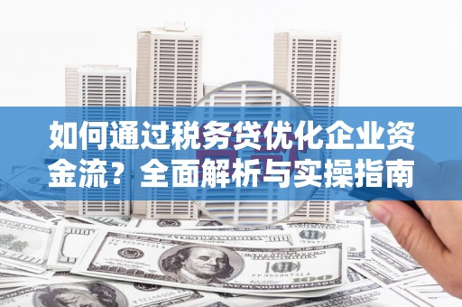 莱城如何通过税务贷优化企业资金流？全面解析与实操指南