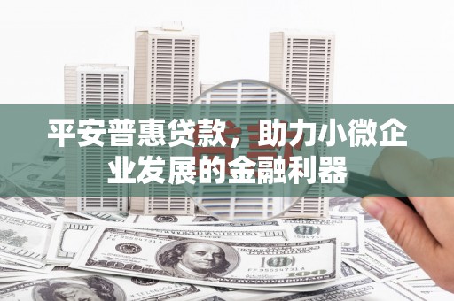 莱城平安普惠贷款，助力小微企业发展的金融利器