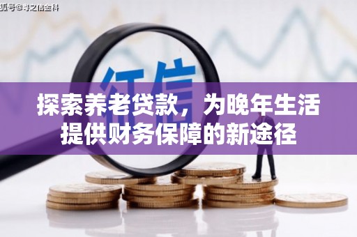 莱城探索养老贷款，为晚年生活提供财务保障的新途径