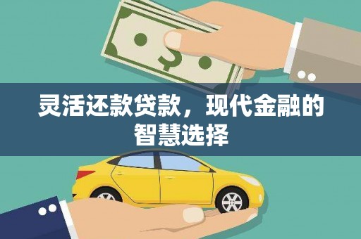 莱城灵活还款贷款，现代金融的智慧选择