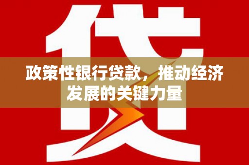 莱城政策性银行贷款，推动经济发展的关键力量