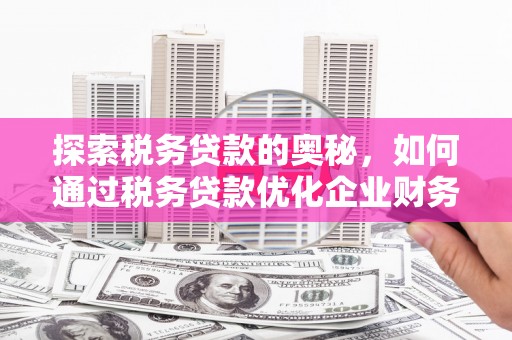 莱城探索税务贷款的奥秘，如何通过税务贷款优化企业财务
