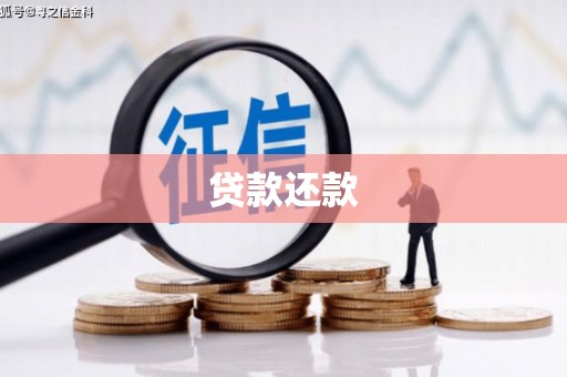 莱城贷款还款