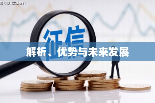 莱城解析、优势与未来发展