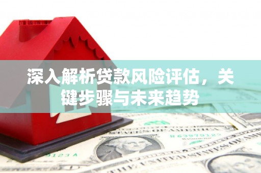 莱城深入解析贷款风险评估，关键步骤与未来趋势