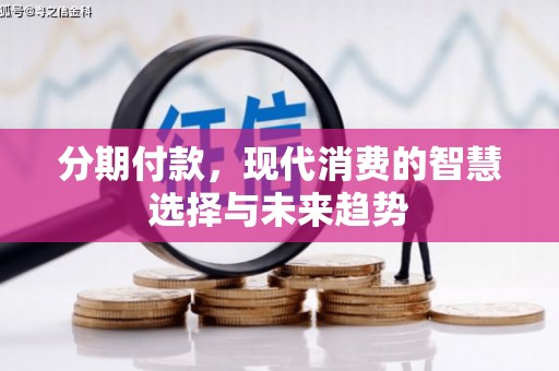 莱城分期付款，现代消费的智慧选择与未来趋势