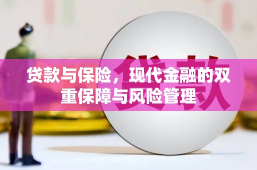 莱城贷款与保险，现代金融的双重保障与风险管理