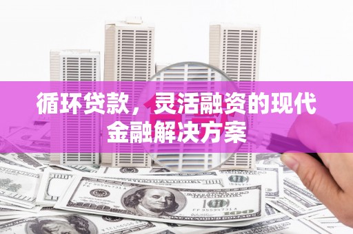 莱城循环贷款，灵活融资的现代金融解决方案