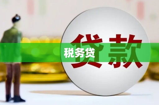 莱城税务贷