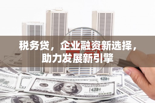莱城税务贷，企业融资新选择，助力发展新引擎