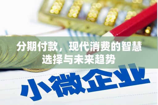 莱城分期付款，现代消费的智慧选择与未来趋势